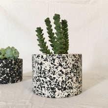 Load image into Gallery viewer, Planter, White terrazzo with black specks
