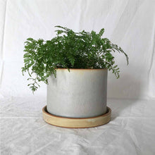 Load image into Gallery viewer, Ceramic planter with drip tray
