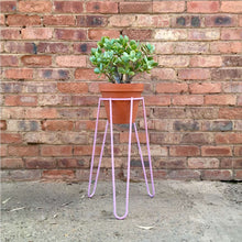 Load image into Gallery viewer, Steel Pot Plant Stand Short
