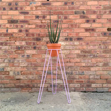 Load image into Gallery viewer, Steel Pot Plant Stand Tall
