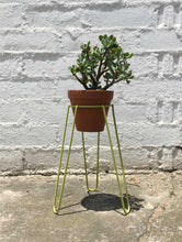 Load image into Gallery viewer, Short Chartreuse Plant Stand
