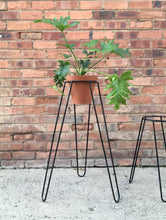 Load image into Gallery viewer, Tall Black Plant Stand

