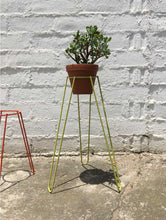 Load image into Gallery viewer, Tall Chartreuse Plant Stand
