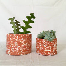 Load image into Gallery viewer, Planters in authentic terrazzo

